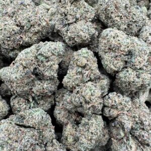 Astro Pop Large Indoor