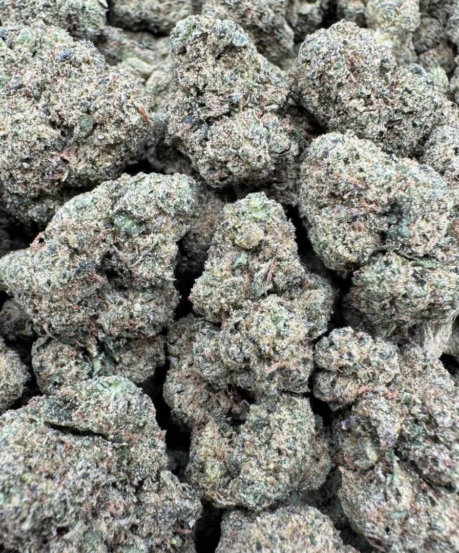 Astro Pop Large Indoor
