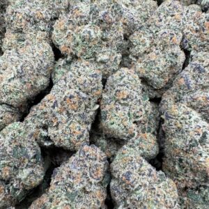 Berry Milk Large Exotics For Sale