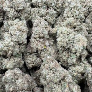 Buy Blueberry X Lemonbarz