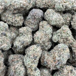Candy Gelato Indoor Smalls