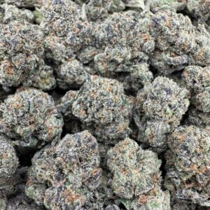 Cherry Sorbet Large Exotics