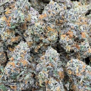 Citrus Gummy Large Exotics For Sale