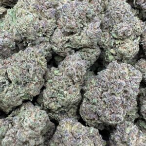 Citrus Runtz Large Indoor For Sale 