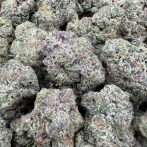 Donnie Burger Large Exotics