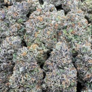 Buy Frosted Candie Large Exotics
