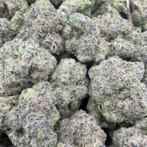 Buy Gush Mint Large Exotics