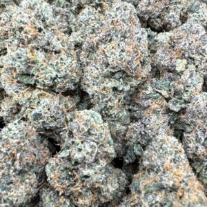 Kandy Pop Rocks Large Exotics