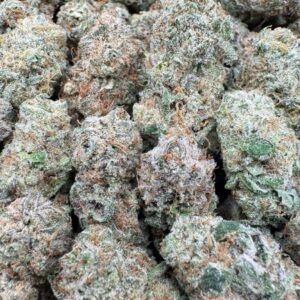 Nandaroz Small Exotics
