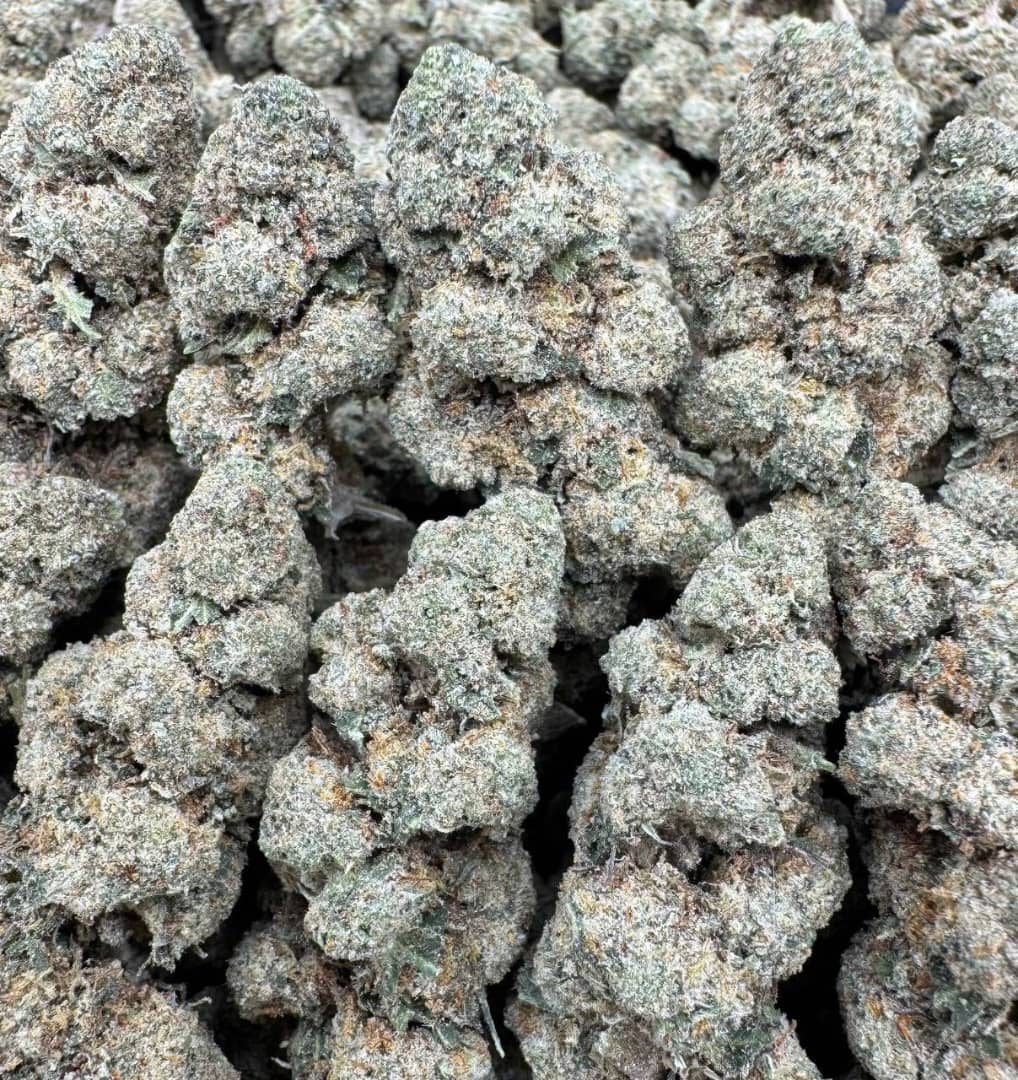 OG Kush Large Indoor