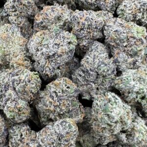 Purple Nerdz Medium Exotics