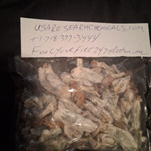 Buy Mushrooms Online