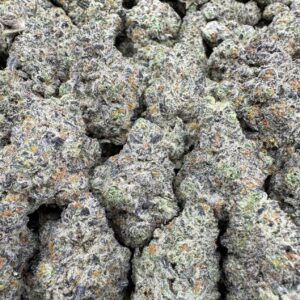 Buy Street Guru Large Exotics