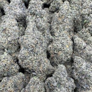 Sugar Runtz Large Exotics