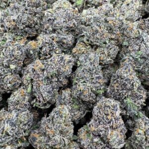 Twizzlers Large Exotics For Sale
