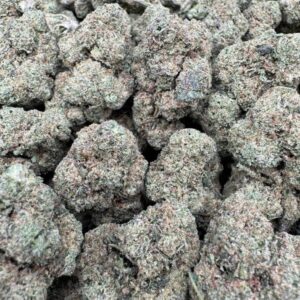 Pink Runtz 2.0 Indoor Mediums