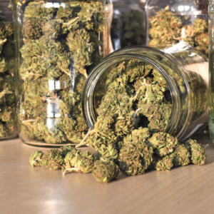 CANNABIS