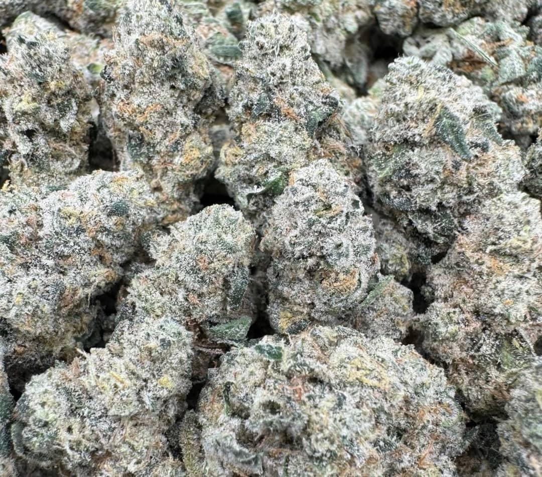 Banana Cream OG Small Exotic For Sale