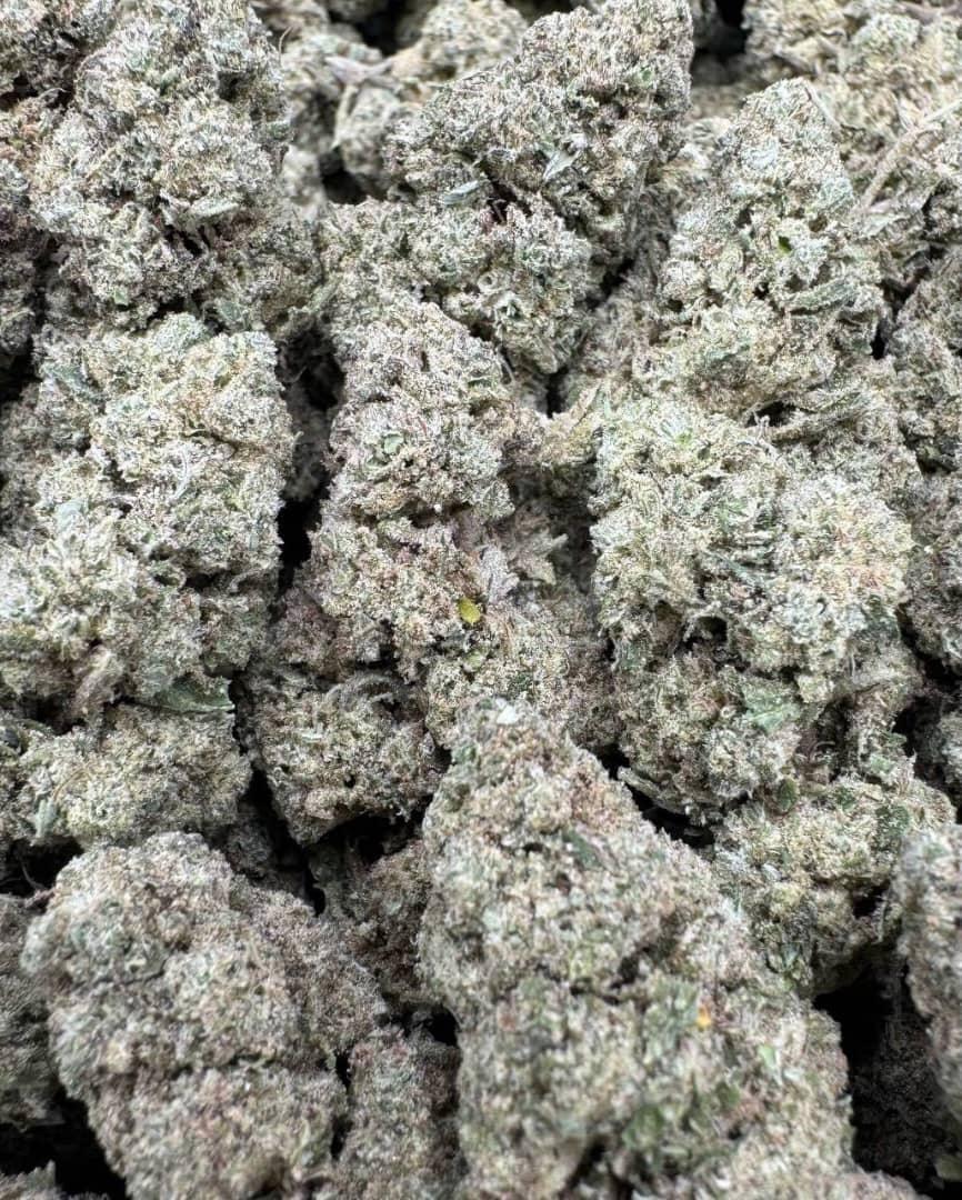 Buy Blueberry X Lemonbarz