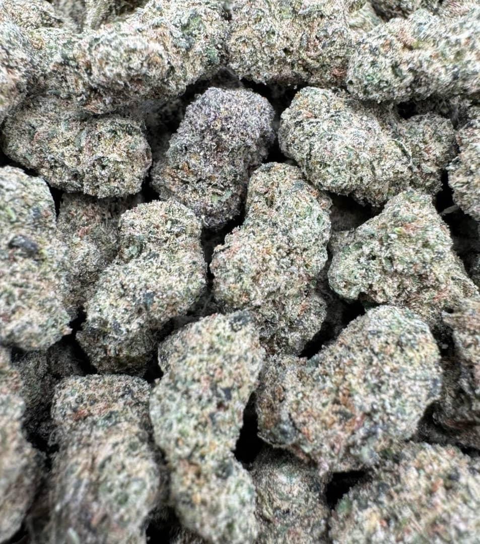 Candy Gelato Indoor Smalls