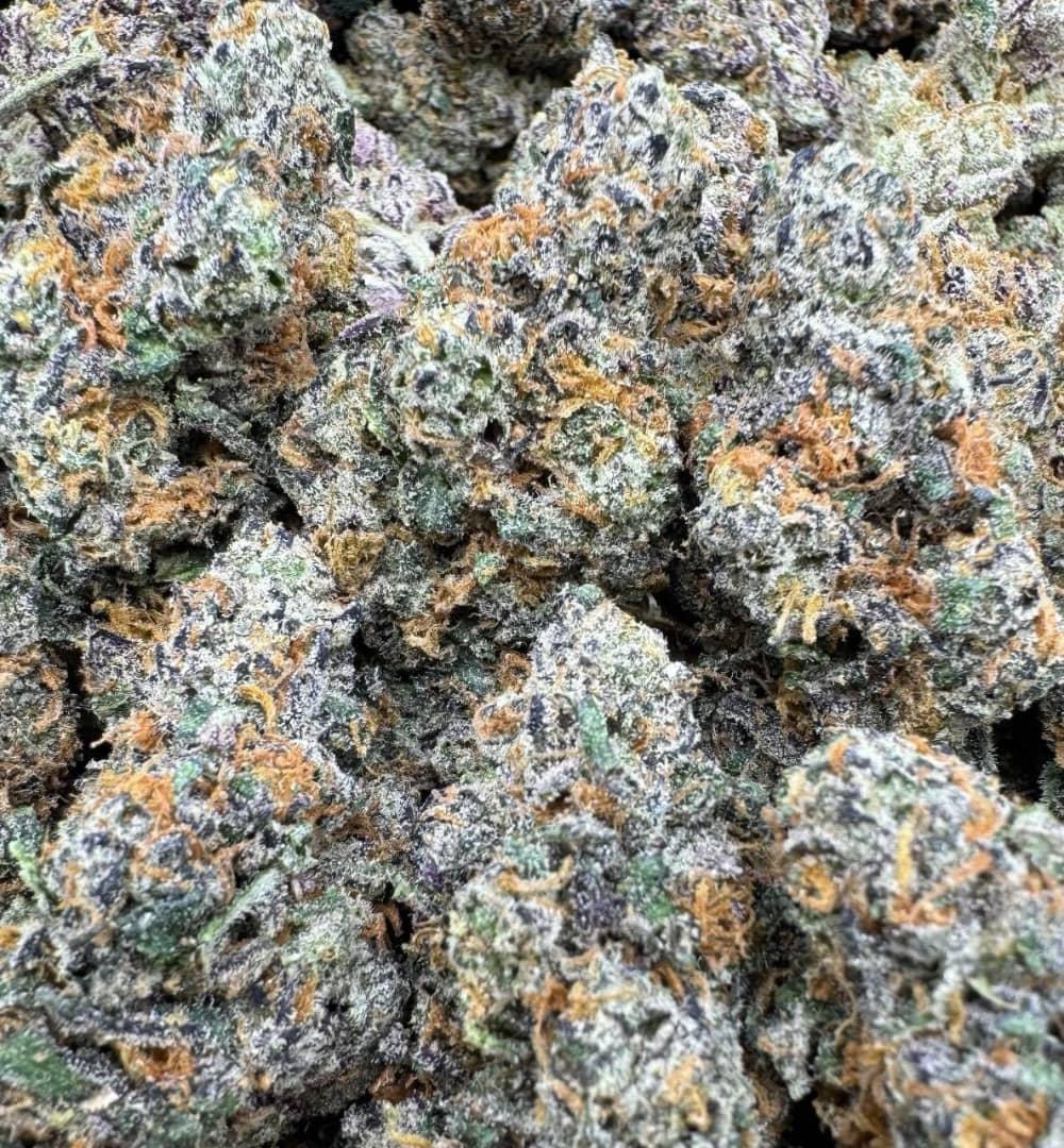 Citrus Gummy Large Exotics For Sale
