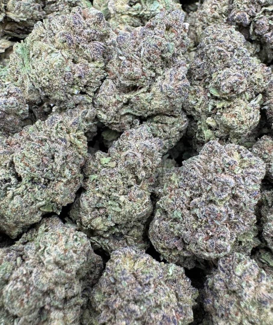 Citrus Runtz Large Indoor For Sale