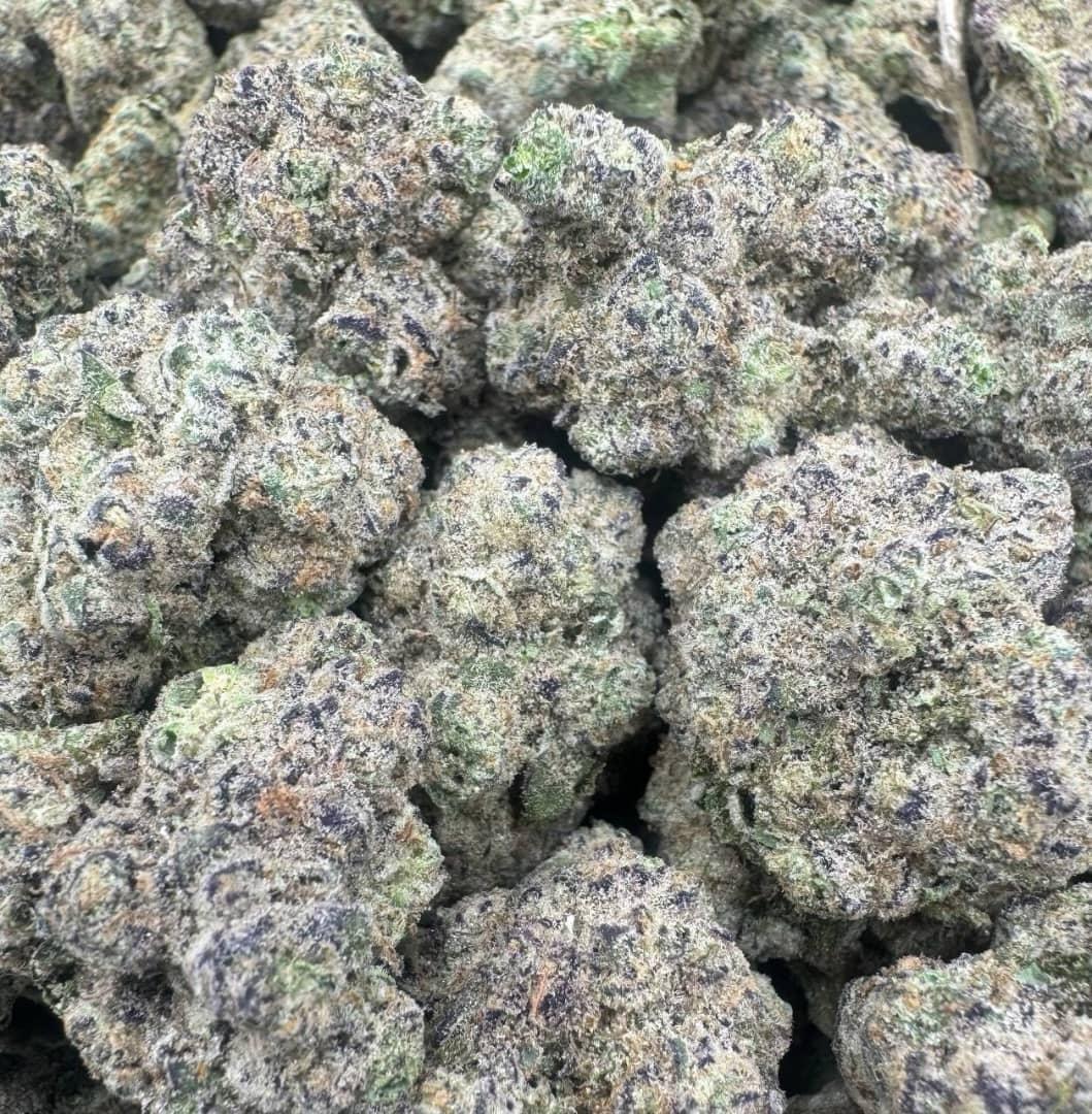 Buy Gush Mint Large Exotics