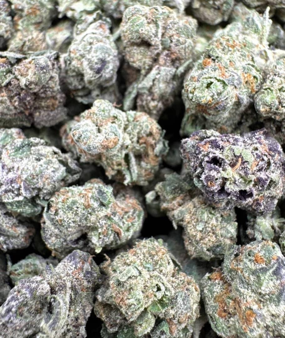 Hybrid Candy Small Indoor