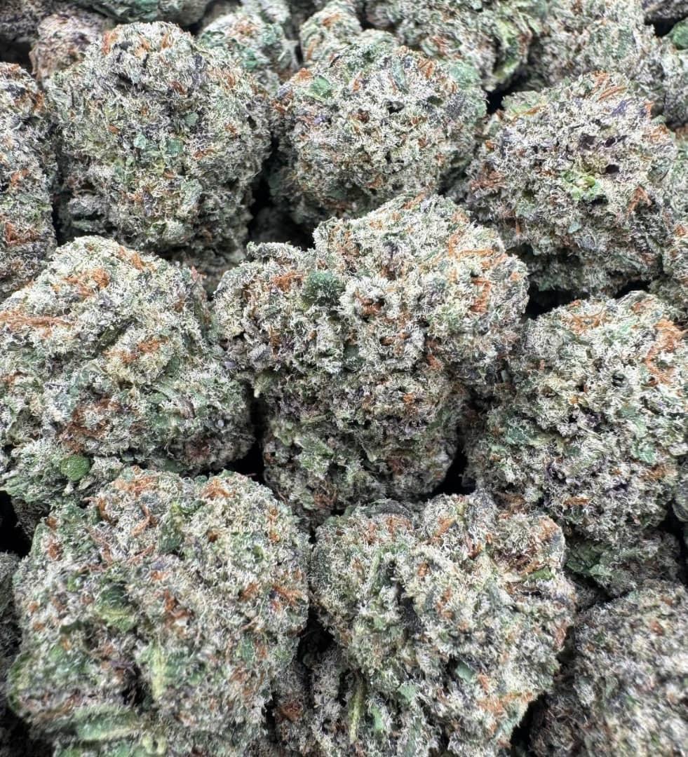 Illuminati Large Exotics