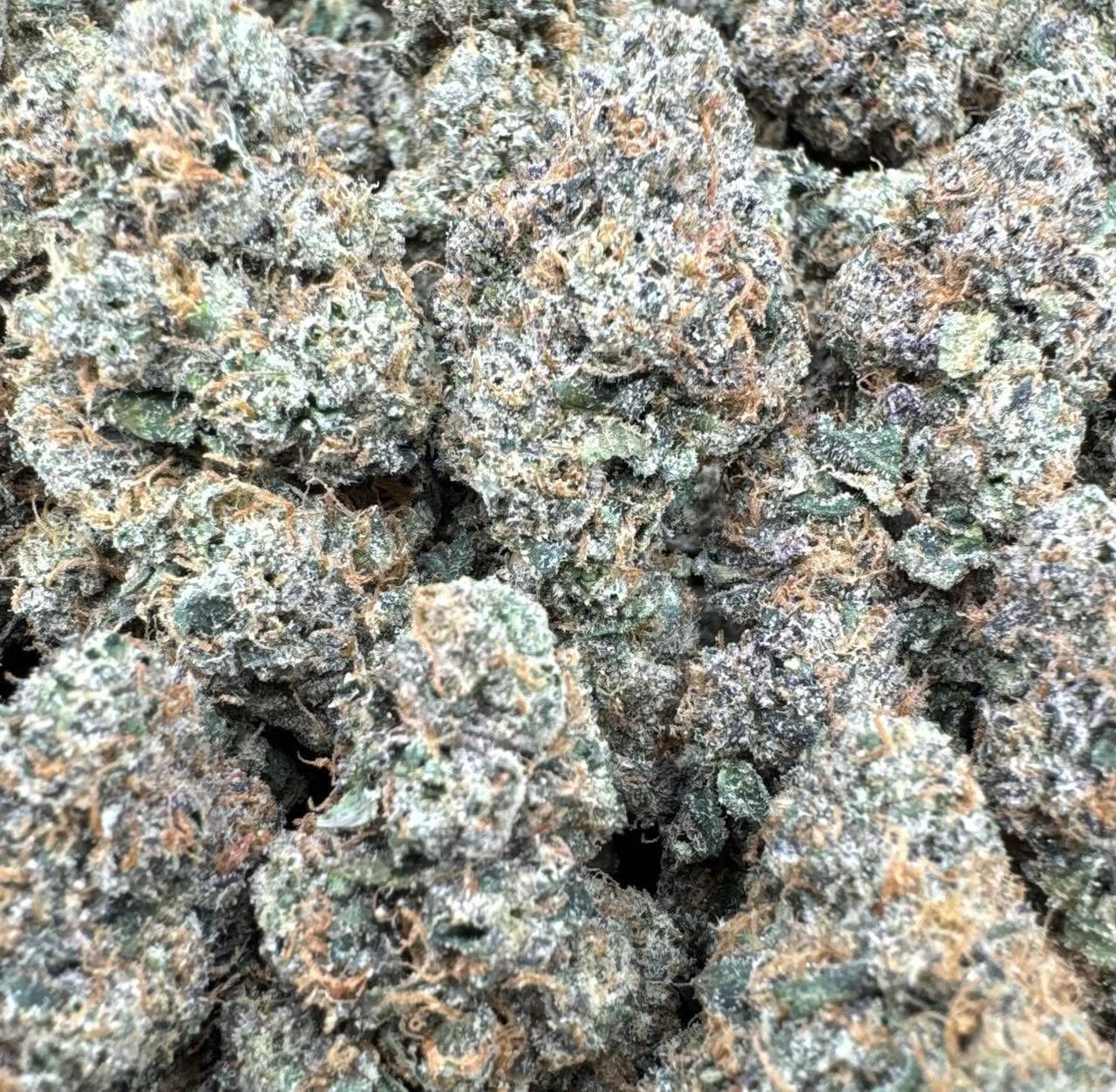 Kandy Pop Rocks Large Exotics