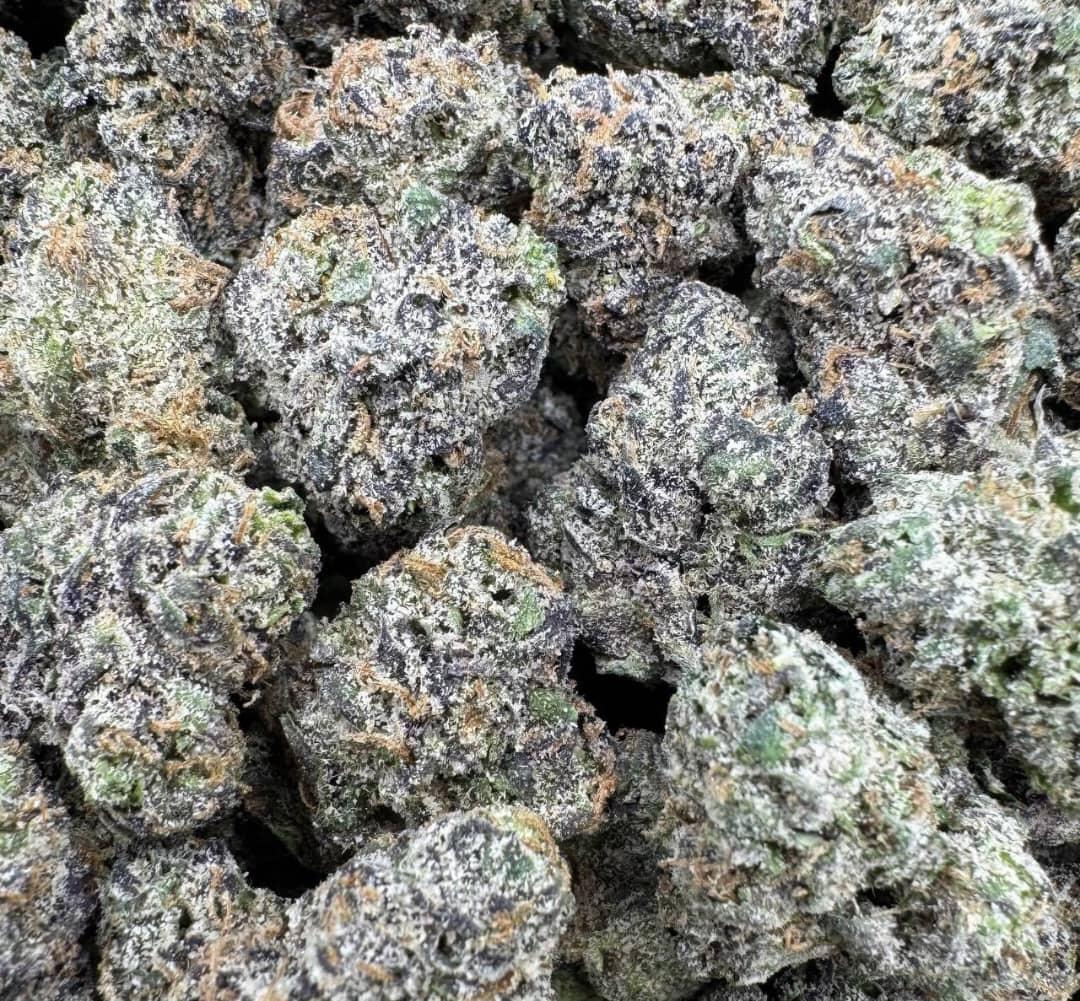 Purple Nerdz Medium Exotics