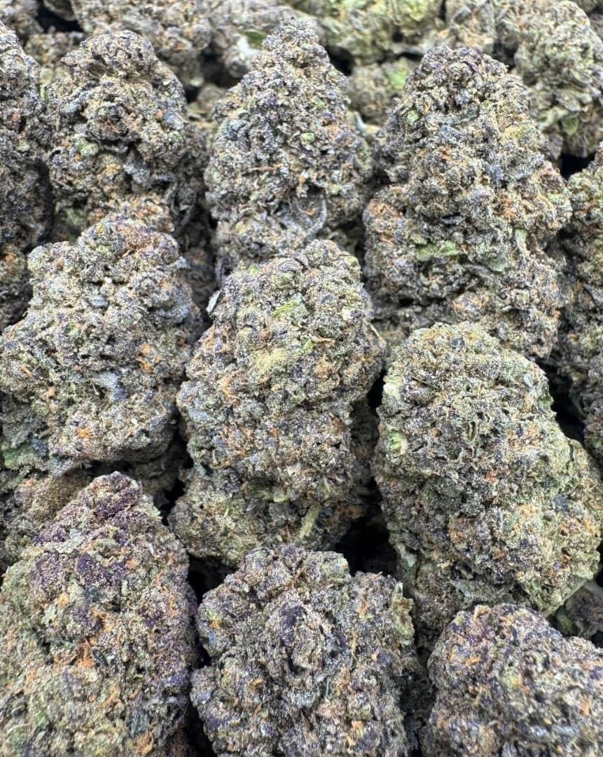 Purple Urkle Large Indoors For Sale