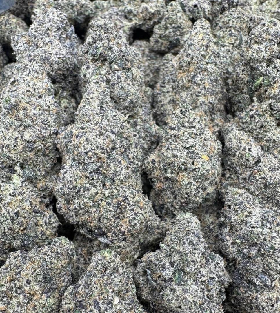 Sugar Runtz Large Exotics