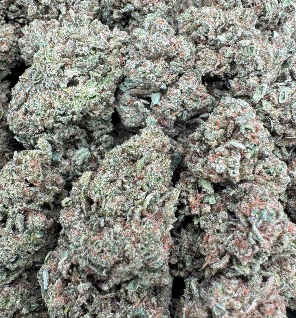 Sunset OG Large Indoors For Sale