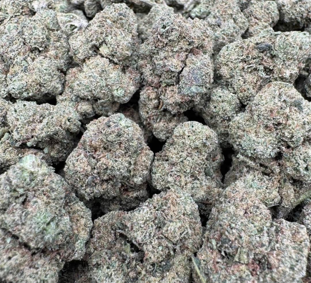 Pink Runtz 2.0 Indoor Mediums