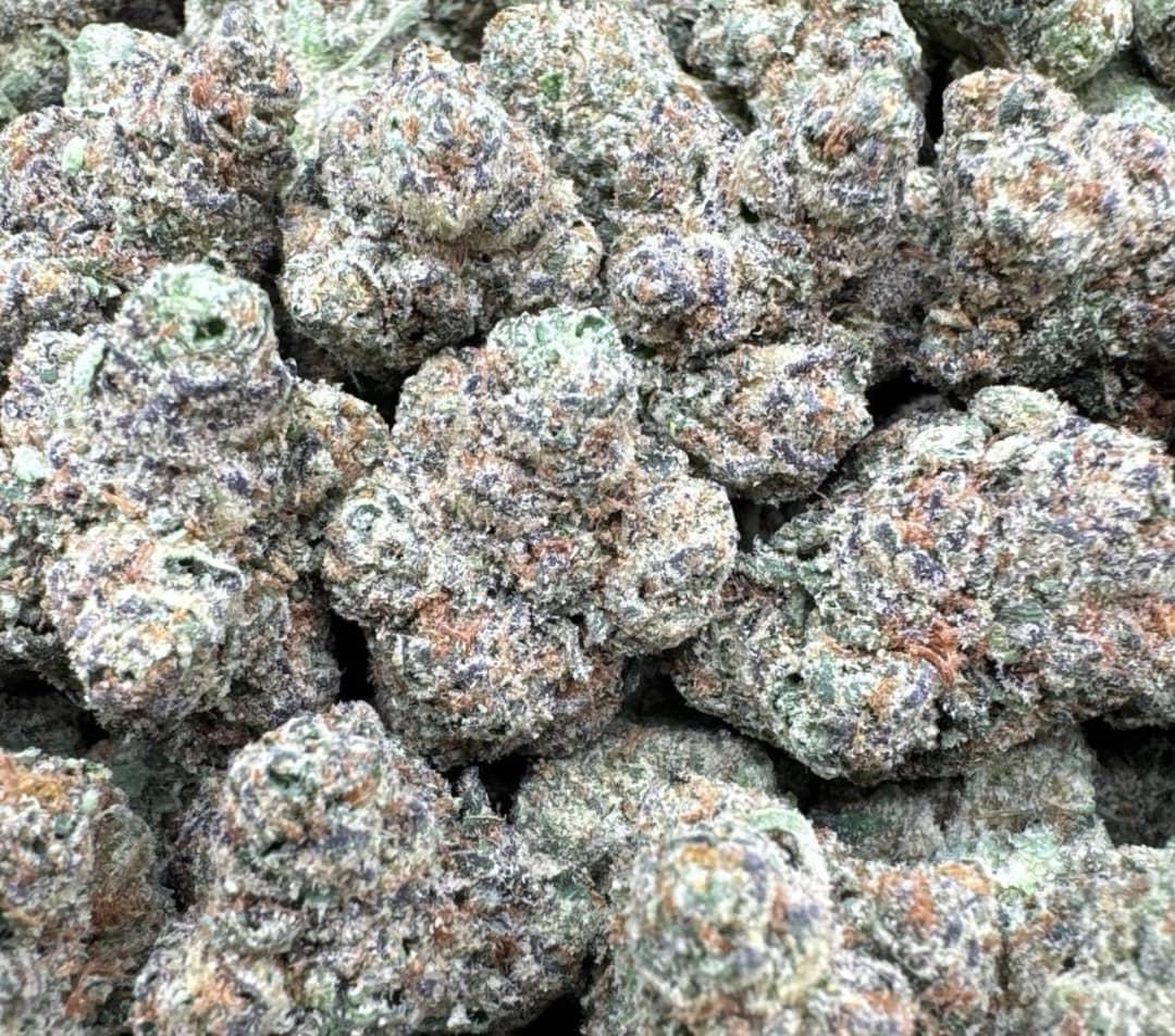 Zoap Large Exotics For Sale